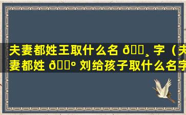 夫妻都姓王取什么名 🌸 字（夫妻都姓 🐺 刘给孩子取什么名字）